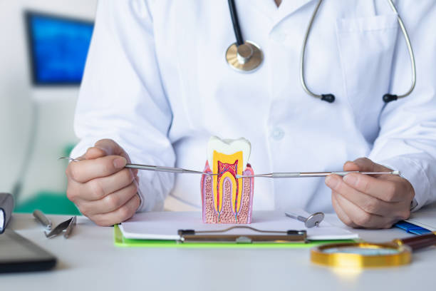 Best Emergency Dental Care for Trauma or Injury in Jamestown, CA